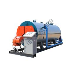 CWNS Gas Boiler